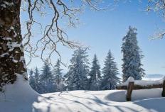 中国电競(jìng)战队EDG夺得全球总决赛冠军