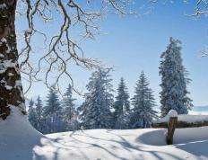 足球(qiú)俱(jù)乐部青训营誕(dàn)生天才少年球(qiú)员