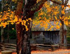 英(yīng)雄联盟(méng)全球(qiú)总決(jué)賽(sài)冠亚军決(jué)賽(sài)四川打響(xiǎng)