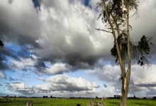 职业联賽(sài)，再不见张宝！