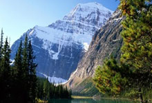 中国品牌首次组建“全球化鼕(dōng)奧(ào)战队”，TCL之(zhī)队全球化鼕(dōng)奧(ào)战队阵容揭晓