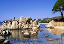 厦门足球(qiú)，重返职業(yè)联賽(sài)！