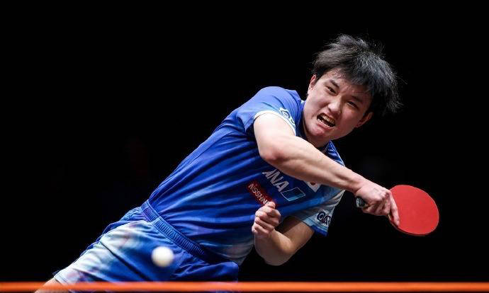 慕强者张本智和全运会慶(qìng)祝动作致敬(jìng)樊振(zhèn)東(dōng) 重燃再战之心(xīn)