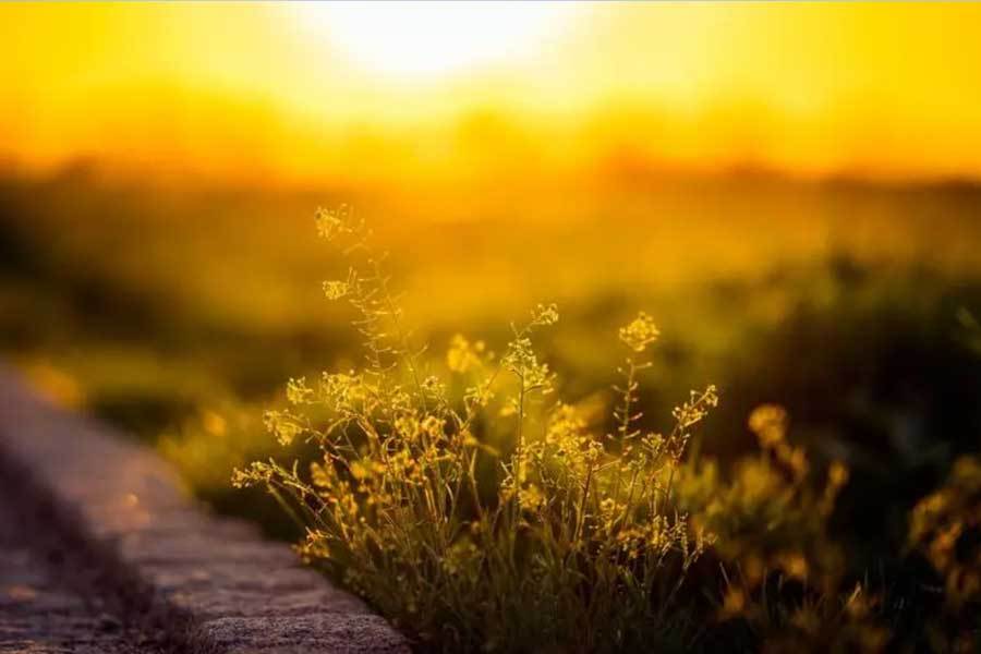 足球(qiú)俱(jù)乐部青训营誕(dàn)生天才少年球(qiú)员